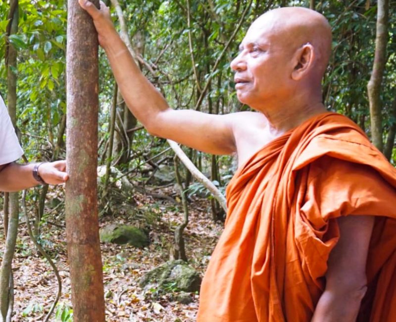 WhatsApp Image 2025-01-20 at 09.20.23_3f36c2ef