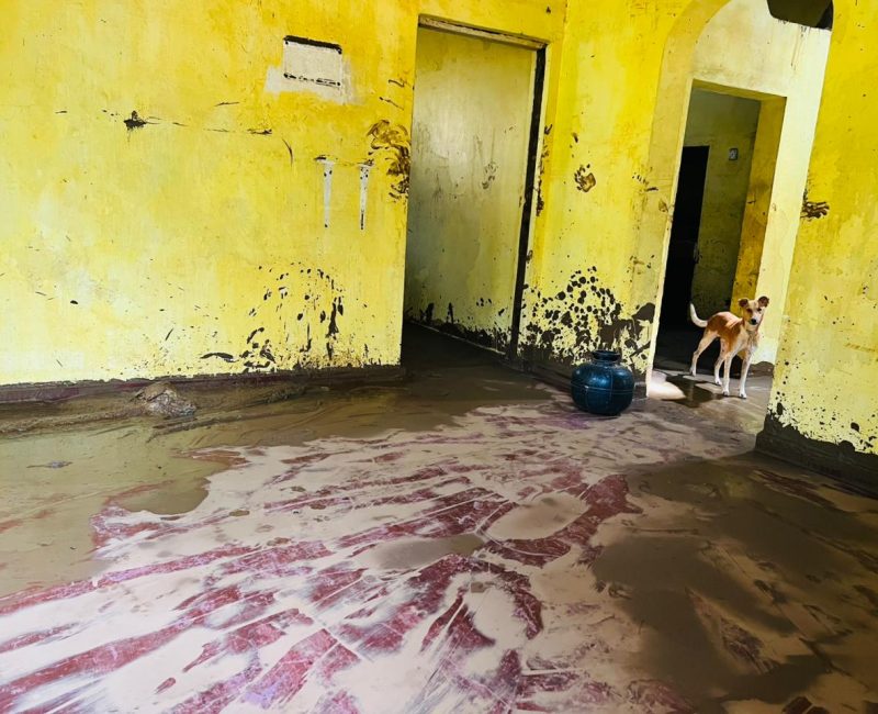 WhatsApp Image 2025-12-04 at 14.01.26 (1)