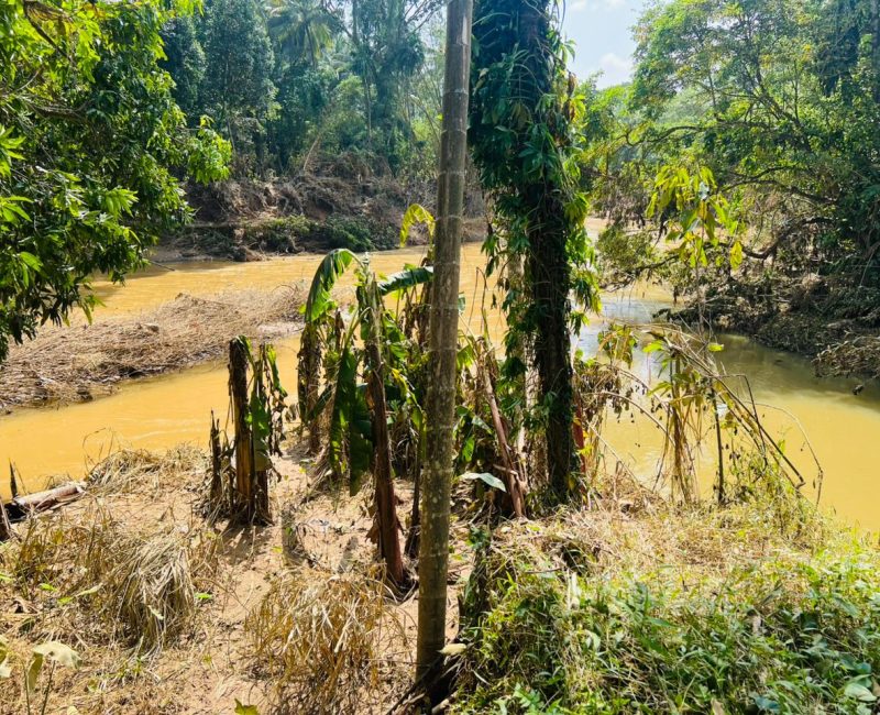 WhatsApp Image 2025-12-04 at 14.01.32 (1)