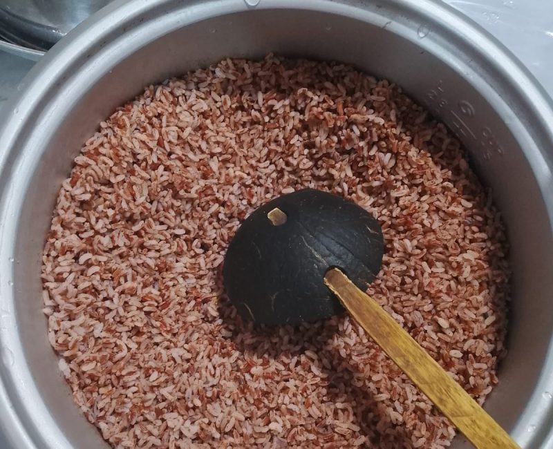 WhatsApp Image 2026-02-23 at 11.55.47 (1)