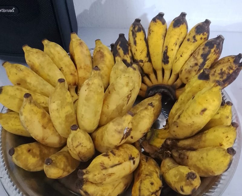 WhatsApp Image 2026-02-23 at 11.55.56