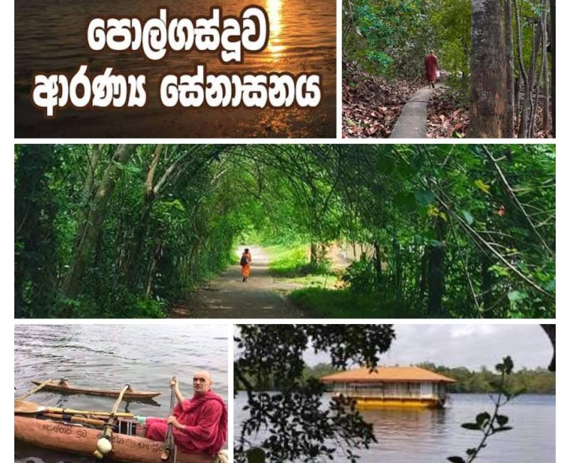 WhatsApp Image 2026-02-23 at 11.56.21