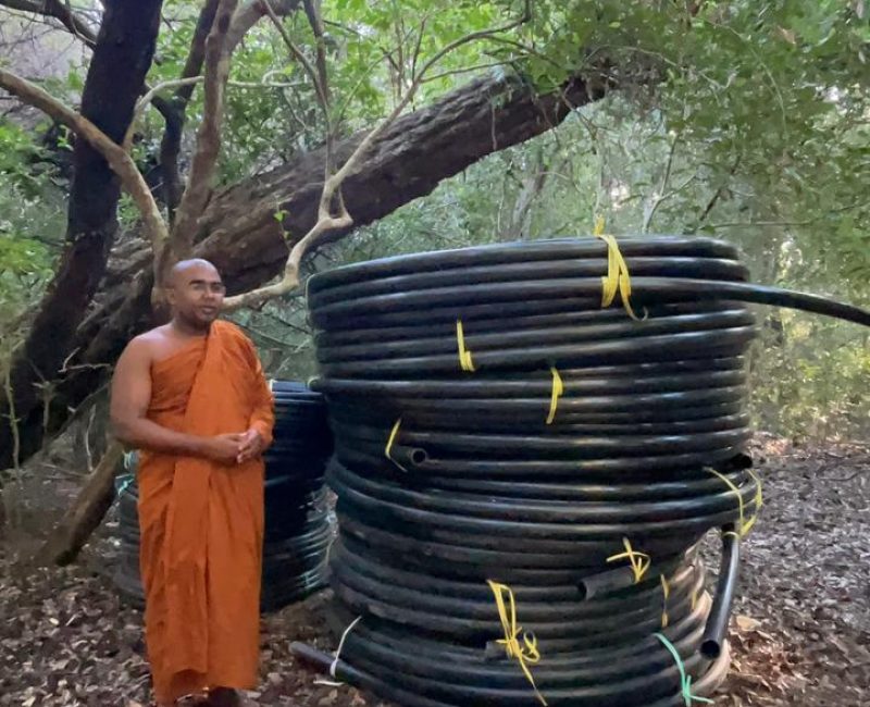 WhatsApp Image 2026-03-26 at 01.12.49