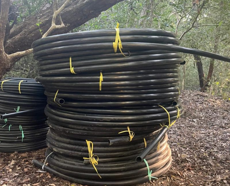 WhatsApp Image 2026-03-26 at 01.12.53 (1)