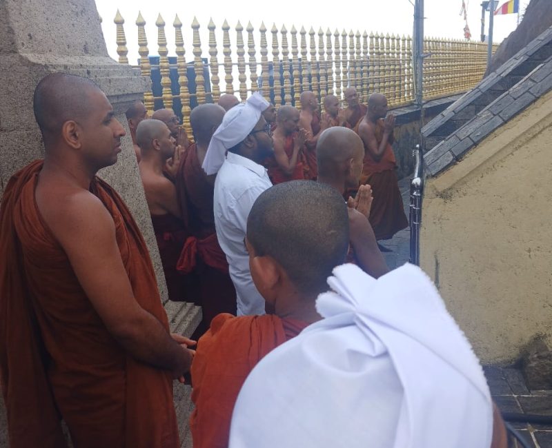 WhatsApp Image 2026-03-26 at 01.12.57 (1)