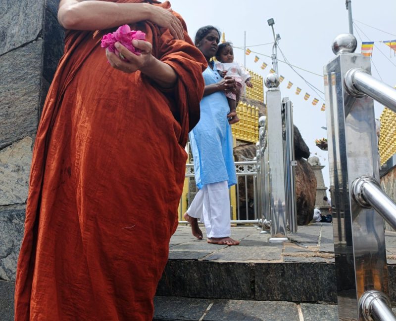 WhatsApp Image 2026-03-26 at 01.12.57