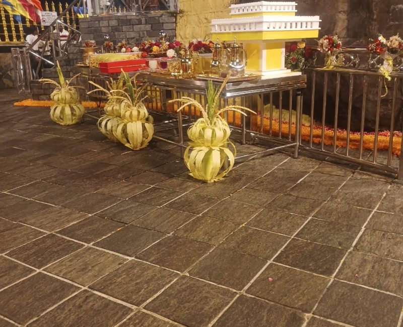 WhatsApp Image 2026-03-26 at 01.13.01