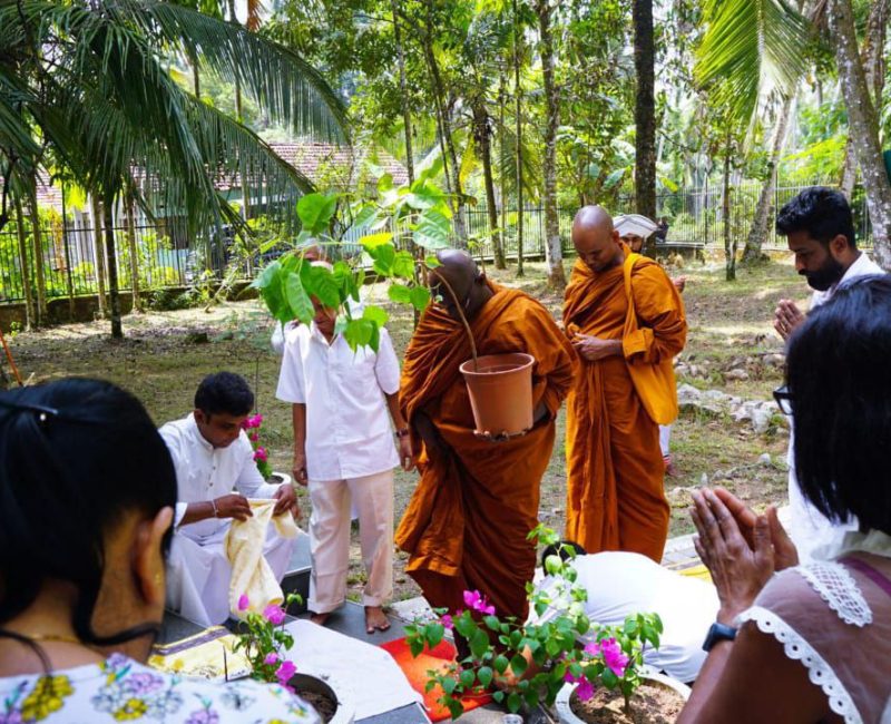 photo_10_2024-05-02_23-27-14