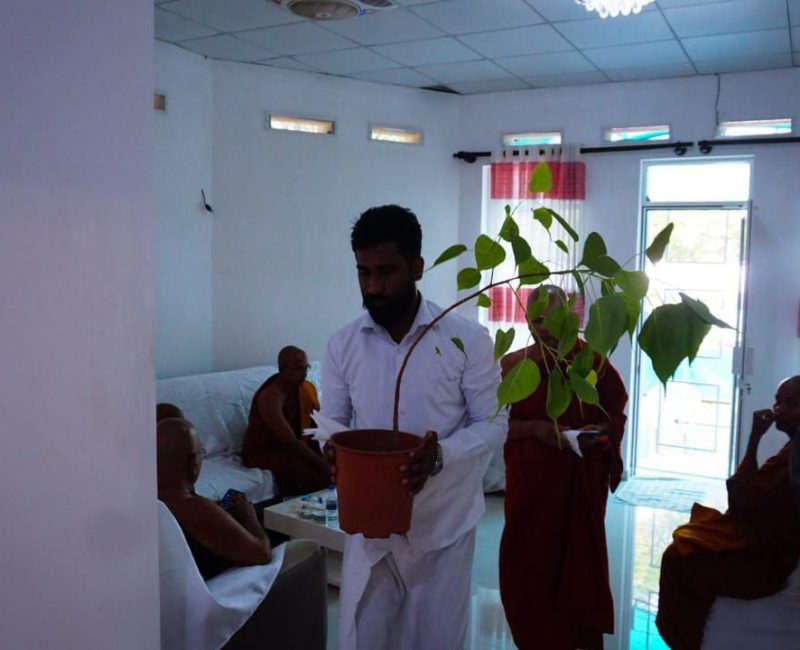 photo_38_2024-05-02_23-27-14